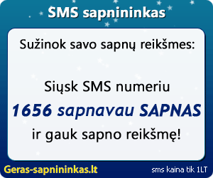 SMS sapnininkas